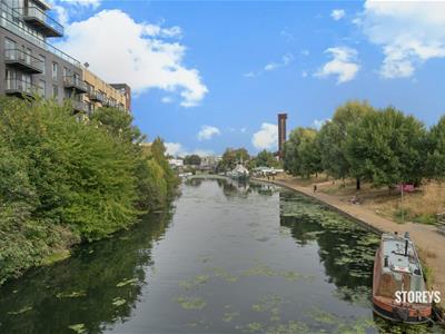 Picture 25